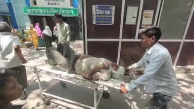 गोपालगंज: बरगछिया गाँव जमीनी विवाद को लेकर हुई मारपीट में एक अधेड़ हुआ घायल, इलाज के लिए सदर अस्पताल में भर्ती