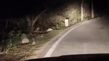 पंचकूला: नाडा गांव के नजदीक सड़क किनारे देखा गया तेंदुआ, वीडियो हो रहा सोशल मीडिया पर वायरल