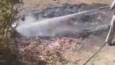 मोहम्मदी: गांव सुनैरामडिया मे सड़क किनारे घूरे में अज्ञात कारणों से लगी आग,सूचना पर पहुंची फायर यूनिट