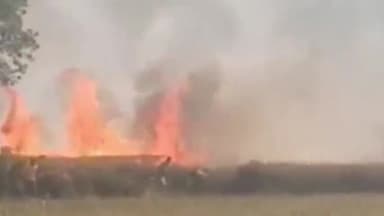 पंचकूला: पिंजौर के गांव कोना में किसानों की खड़ी फसल में लगी आग, फायर ब्रिगेड मौका पर पहुंची