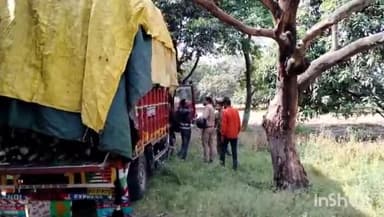 गढ़मुक्तेश्वर: गांव नानपुर के जंगल में वन माफिया कर रहे हरे-भरे पेड़ों का कटान, वन विभाग टीम में लकड़ी से भरी कैंटर को किया जब्त