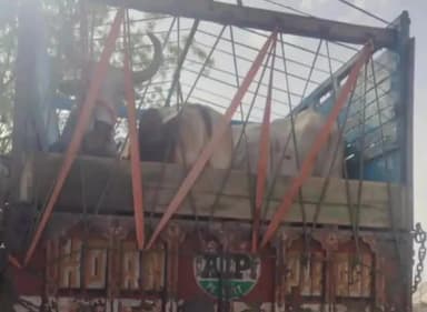 मेड़ता: पशुपालकों के गौ वंश से लदे ट्रैकों को एमपी बॉर्डर पर रोकने का मामला,पशुपालकों ने किया प्रदर्शन, जाहिर की नाराजगी