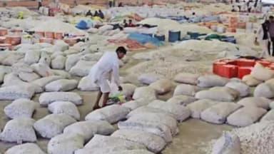 मंदसौर: कृषि उपज मंडी में मुख्य शेड परिसर हुआ फूल सोमवार को नीलामी के बाद अन्य वाहनों को मिलेगी एंट्री।