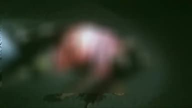 बीना: किर्रावदा बाईपास पर मोटरसाइकिल से गिरने से 50 वर्षीय महिला की मौत, पुलिस ने किया मर्ग कायम