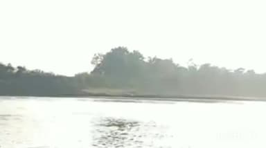 चितरंगी: ग्राम बर्दी स्थित गोपद नदी में नहाते समय गहरे पानी में डूब जाने से 11 वर्षीय बालक की हुई मौत