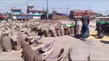 पंचकूला: पंचकूला की तीनों मंडियों में 34720 मीट्रिक टन गेहूं व 654 मीट्रिक टन सरसों की हुई खरीद