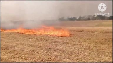 आंदर: सलाहपुर गांव स्थित चवर में लगी आग ग्रामीणो की मदद से आग पर पाया गया काबू