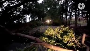 ओरमांझी: ओरमांझी सीकरी गोला रोड में आंधी तूफान के कारण सैकड़ो पर गिरा अगर आवागमन हुआ बाधित