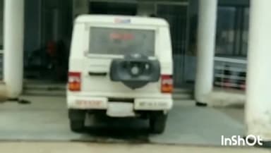 चितरंगी: ग्राम पिपरवान मार्ग पर अन्नदूत वाहन की टक्कर से 4 भैंसों की मौत व एक भैंस का बच्चा हुआ घायल, हादसे के बाद चालक हुआ फरार