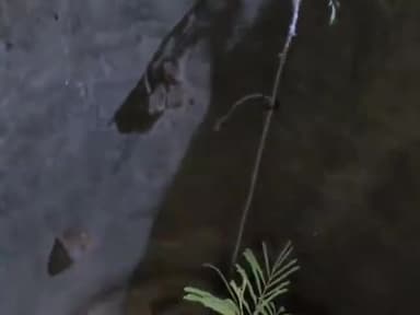 धनौरा: गजरौला खाद गुर्जर रोड पर कुएं में गिरा सांड, लोगों ने निकाला बाहर