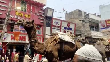 आरके सिंह नामांकरण भरने जाते समय गोपाली चौक की तरफ से गाजे बाजे के साथ धूमधाम से नारो के साथ अबकी बार 400 पार