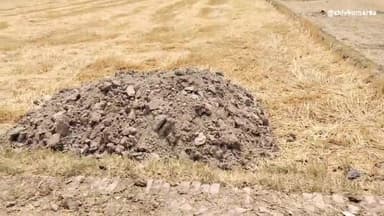 जसूपुर में खेत में मिट्टी डालकर अवैध कब्जा करने का प्रयास। मीरपुर के विजेंद्र ने तहसीलदार बीसलपुर से की मामले की शिकायत