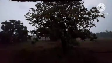 आंदर: आंदर में अचानक मौसम में हुआ बदलाव तेज आंधी व गर्जन के साथ बारिश हुई शुरू