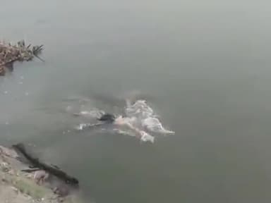 धनौरा: मंडी धनौरा के सिपियाना घाट पर अंतिम संस्कार के दौरान स्नान कर रहा है, युवक डूबा मचा कोहराम