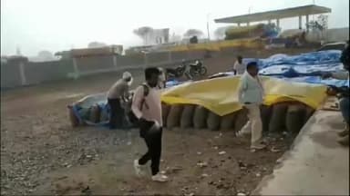 सिमरिया: पन्ना में अनधिकृत भराव में हुआ हजारों टन गेहूं का नुकसान