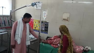 बहराइच: हेमरिया में मधुमक्खियों के हमले में मां-बेटा हुए घायल, अस्पताल में इलाज जारी