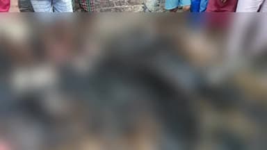 रघुनाथपुर: बडुआ के वैश्य के बारी में झोपड़ी में लगी आग से चार बकरियों की मौत