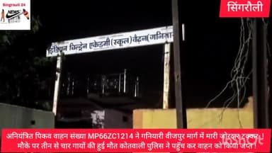 अनियंत्रित पिकव वाहन संख्या MP66ZC1214 ने गनियारी वीजपुर मार्ग में मारी जोरदार टक्कर मौके से चालक फरार तीन गाय मृत !