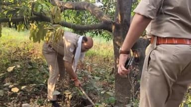 मलिहाबाद: रामनगर, बाजार गांव और नारू खेड़ा में छापेमारी के बाद 80 लीटर अवैध कच्ची शराब और 200 किलो लहन बरामद