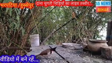 हुस्सेपुर के भरपटिया में एक किसान के द्वारा अच्छी पहल, गर्मी के मौसम में चिड़ियों के लिए दाना पानी का बढ़िया इंतजाम..