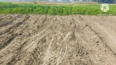 खोदावंदपुर: खेत की जबरन दबंगो ने काट लिया मिट्टी, विरोध करने पर की गाली गलौज एवं मारपीट। घटना बरियारपुर पूर्वी पंचायत के मसुराज गांव