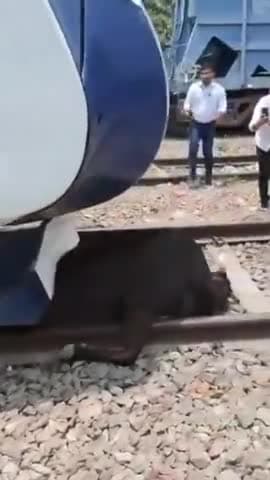 भारतवासियों से अपील कर रहा हूं  भ्रष्टाचार मुक्त भारत बनाने के लिए मोदी जी के नेतृत्व में कमल के बटन को दबाए ज्यादा से ज