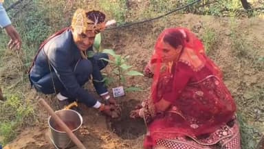 रामगढ़ पचवारा: शहर के लोटन ढाणी के राजकीय संस्कृत विद्यालय में नव दंपति ने पौधारोपण कर पर्यावरण के प्रति जागरूकता का दिया संदेश