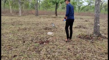 समुद्रपूर: मोहगांव येथे घरा दहशत निर्माण करणाऱ्या साप‌‌‌ सर्पमित्राने मोठ्या शिताफीने जेरबंद करुन सुखरूप सोडले जंगलात