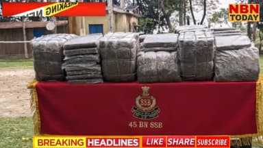 SSB सीमा चौकी रिफ़्यूजी कॉलोनी ने जब्त किया 102 किलोग्राम गाँजा#indonepalborder #birpurnews