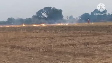 आंदर: फाजिलपुर गांव स्थित खेत में लगी आग गेंहू का डंठल जलकर हुई राख ग्रामीणों की मदद से आग पर पाया गया काबू