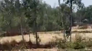 मलिहाबाद: बाकीनगर में तेंदुआ दिखने से दहशत का माहौल, वन विभाग द्वारा लगाया गया है पिंजरा