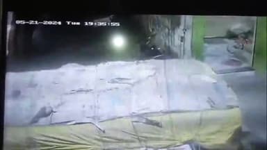 इंदौर: तीन युवकों ने एक श्वान की पूंछ में लगाई आग, घटना का सीसीटीवी आया सामने, आजाद नगर थाना क्षेत्र के मुसाखेड़ी की घटना