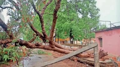 सेन्हा: सेन्हा बुटी गांव में आंधी-बारिश से पेड़ गिरने से बिजली पोल हुआ क्षतिग्रस्त, बिजली आपूर्ति हुआ बाधित