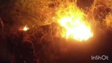 ਖਰੜ: ਨਯਾਗਾਓ ਦੇ ਕੰਢੀ ਪਿੰਡ ਕਸੌਲੀ ਦੇ ਜੰਗਲਾਂ ਚ ਲੱਗੀ ਭਿਆਨਕ ਅੱਗ, ਪਿੰਡ ਵਾਲਿਆ ਤੇ ਜੰਗਲਾਤ ਵਿਭਾਗ ਨੇ ਮਿਲਕੇ ਅੱਗ ਤੇ ਕਾਬੂ ਪਾਂ ਲਿਆ ਸੁਣੋ