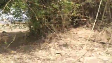 जगन्नाथपुर खदान कर्मचारी एव पुलिस बल ने बिना मजा दिये जमीन को खोद डाला #collector #surajpur_collector   #surajpurnews