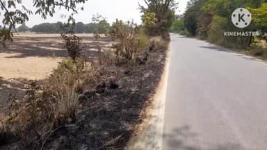 आंदर: बरवा गांव के समीप लगी आग दर्जनों हरे पेंड जले ग्रामीणों की मदद से आग पर पाया गया काबू