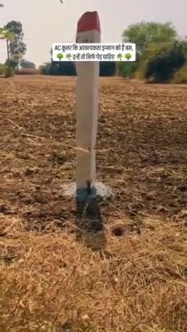 AC कूलर इंसान की ज़रूरत है 
इन्हें तो सिर्फ़ पेड़ चाहिये 🌳🐿️
#Savetree