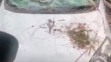 पुरोला: पुरोला में तेज आंधी की वजह से चलती कार पर उखड़कर गिरे दो पेड़, एक शख़्स की हुआ मौत व एक अन्य घायल