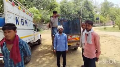 लखीमपुर: इमलिया गांव में गिरा एक विशालकाय पेड़, भैंस खोलने गए एक युवक की दबकर हुई मौत