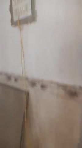 #new riperig #wig karname 9109211888works वांटेड दबंग