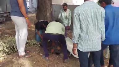 खरगौन: खरगोन में पति के बाद पत्नी ने लगाई फांसी, आपसी विवाद के चलते किया सुसाइड