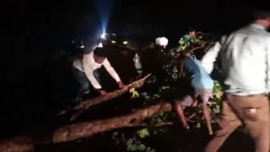 ठेठईटांगर: चालीस मर्दन घाटी के पास तेज आंधी से सड़क पर गिरे पेड़ से रास्ता हुआ जाम, प्रखंड प्रमुख ने लोगों की मदद से हटवाया