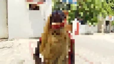 लखीमपुर: मैनहा में शादी के बाद महिला को पति के नपुंसक होने की हुई जानकारी; शिकायत पर मारपीट कर घर से निकाला गया, पहुंची SP ऑफिस