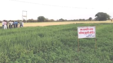 बूंदी: गौशाला हेतु आवंटित भूमि में नगर परिषद क्षेत्र बून्दी के निराश्रित गौवंशों को शिफ्ट किया जाए - गोपाल माहेश्वरी