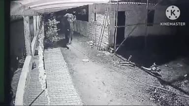 मांडर: देर रात अचानक शहर में आया जंगली हाथी, झारखंड विधानसभा के आसपास घूमता दिखा।