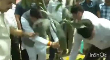 देहरादून: विश्व पर्यावरण दिवस पर सिटी पार्क में आयोजित कार्यक्रम में मुख्यमंत्री धामी ने किया वृक्षारोपण