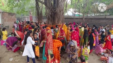 नासरीगंज: पति की दीर्घायु के लिए सुहागिन महिलाओं ने नासरीगंज प्रखंड व नगर में किया वट सावित्री पूजन