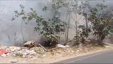 कानपुर: कल्याणपुर में दलहन क्रॉसिंग के पास खेत में लगी आग