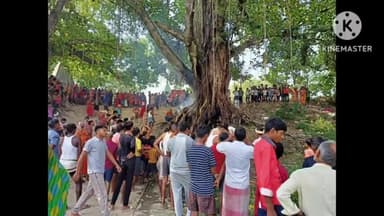 बीरपुर: पकड़ी हनुमान मंदिर के समीप एक बरगद पेड़ में अचानक लगी आग, मची अफरा तफरी