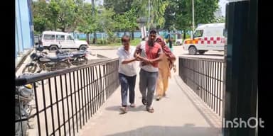 सुपौल: थरबिटा पुनर्वास में बाथरूम  का पानी बहाने के विवाद को लेकर मारपीट में तीन लोग जख्मी सदर अस्पताल सुपौल में इलाजरत